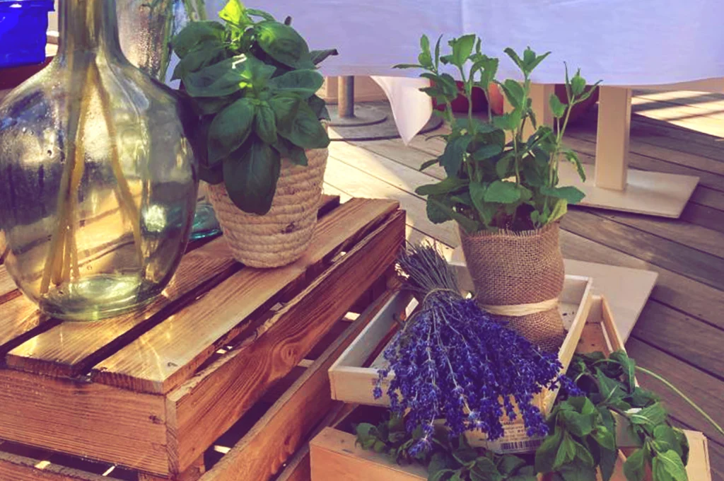 Décor d’un marché méditerranéen à Ramatuelle