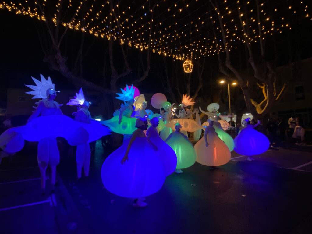 animation lumineuse spectacle de rue événement grand public nocturne